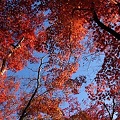 静岡の風景