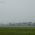 D120814　熊本空港