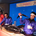 2014/12/20 長崎ペンギン水族館 魚の美味しいまち長崎〜冬が旬の魚たち