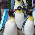 2015/04/20 長崎ペンギン水族館