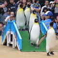 2015/05/06 長崎ペンギン水族館