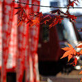 京急沿線の遅い秋　2015年12月