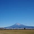 富士山2017