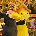 松江フォーゲルパーク盆夜祭2017 きゃら祭り