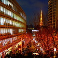 20171224 クリスマスの東京タワー