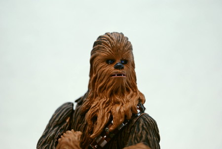 GENTLE GIANT_BUST-UPS Chewbacca_003