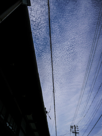 電線とうろこ雲