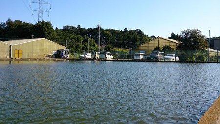 2013年営業再開直後9月の座間養魚場