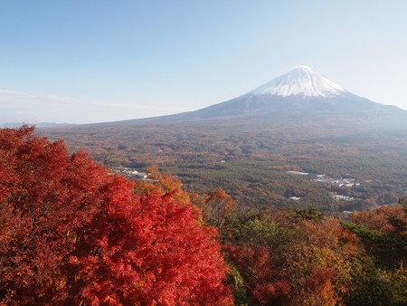 紅葉展望台より富士山と紅葉