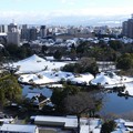水前寺成趣園の四季 - 冬 -