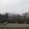 沼田公園からの眺望